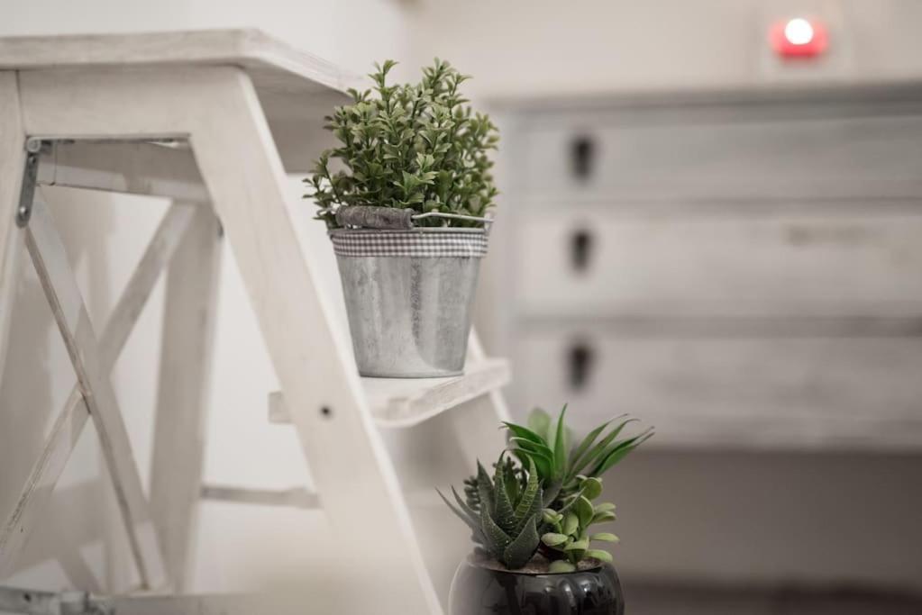 Shabby Apartment @Trastevere Рим Екстериор снимка